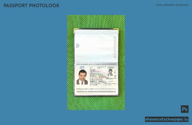 Vorschau des Passfotos für Moldawien (2011–2014)